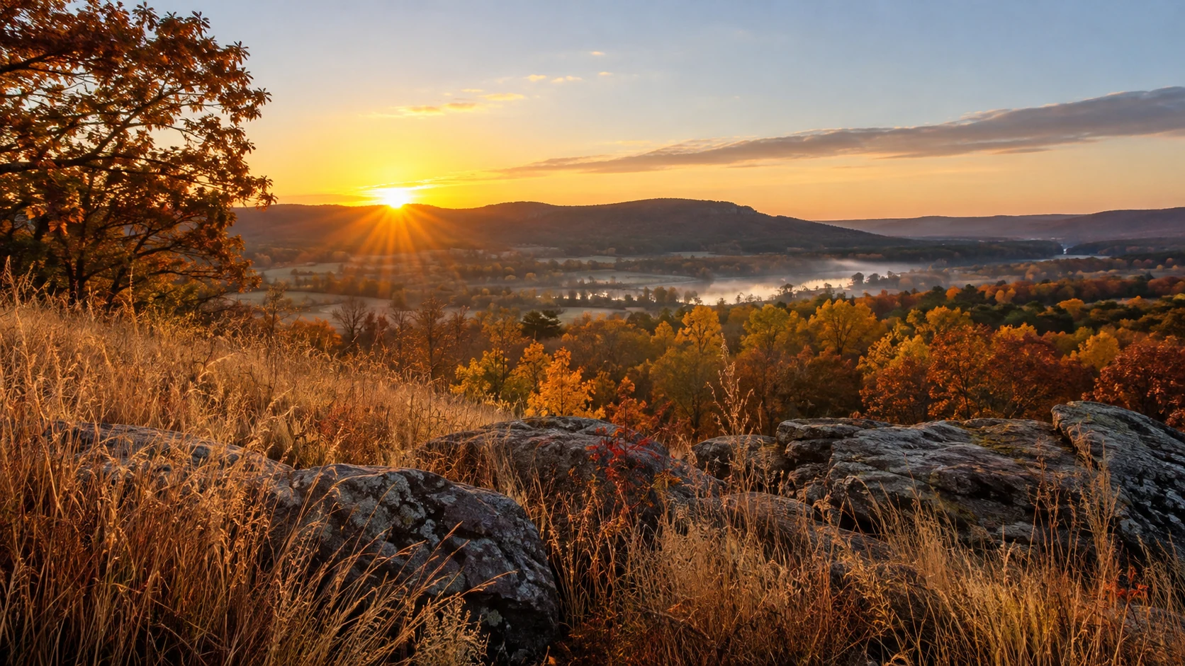 Illustrative sunrise over autumn prairie grasses in the Baraboo area