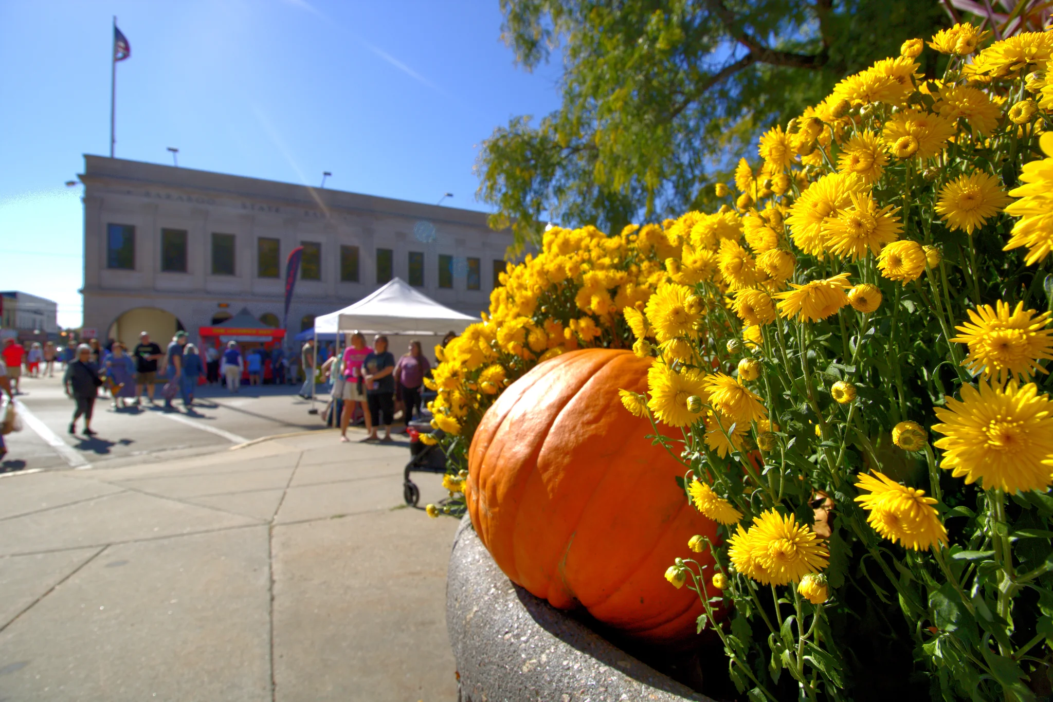 Pumpkin and yellow flowers overlooking the fair on the square at Baraboo's 2026 Fall Fair on the Square